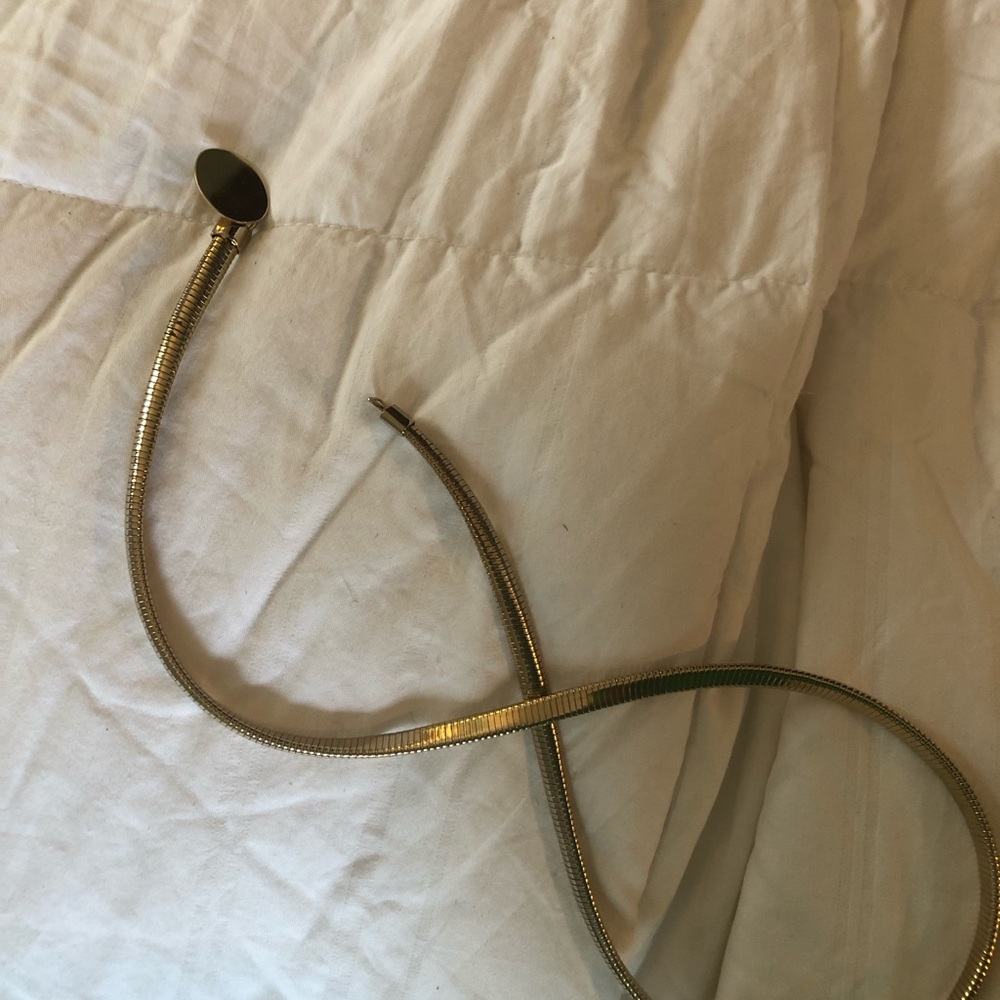 Vintage Gold Snake Chain Belt